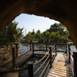 Cave view of a wooden footbridge over water, surrounded by lush tropical plants.