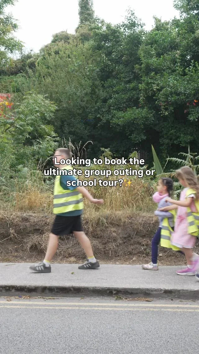Looking to book the ULTIMATE School Tour, Team-building day or Student Bonding experience? 🎓 🚸 

It has to be Pirates Cove where we have a wide range of activities for students to have FUN, build confidence, strengthen teamwork and create lasting memories outside the classroom 🙂 

Perfect for schools, youth groups, clubs and teams.

📩 Bookings are now open for the 2027 School Tour season and for year round tours. Book your dates in early to avoid disappointment as spaces fill up fast 📆